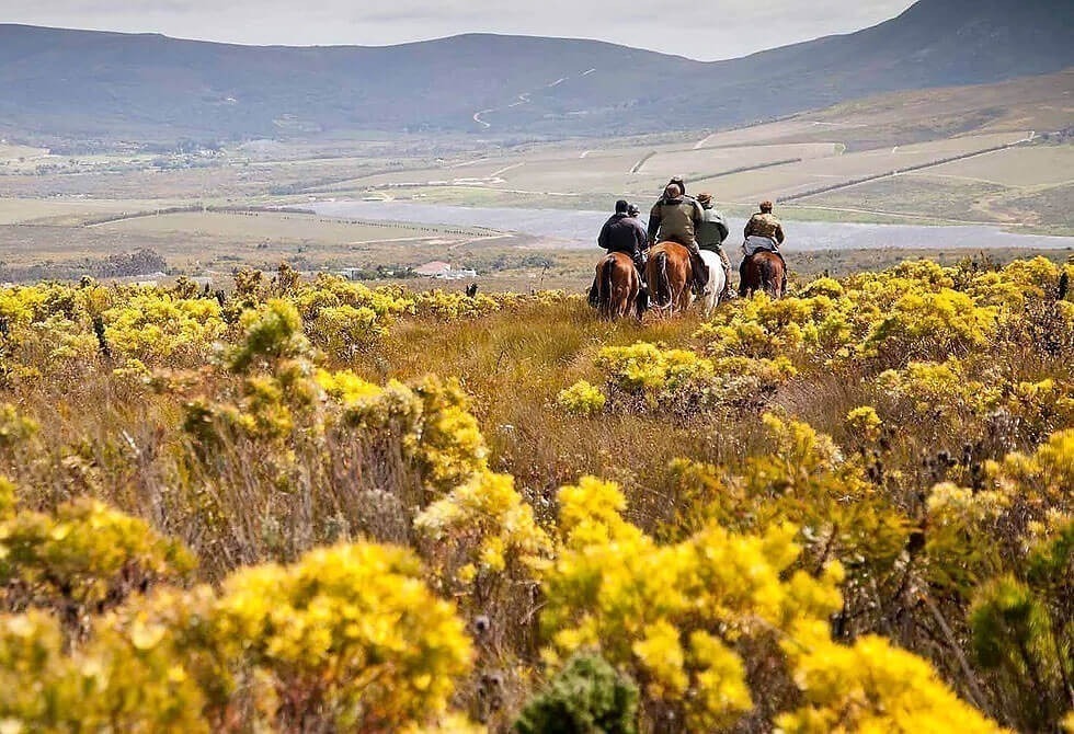 African Horseback Safari