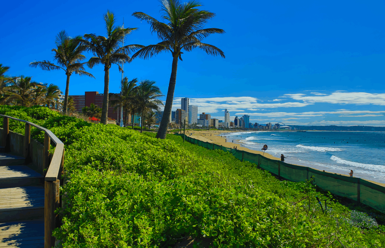 Durban Skyline