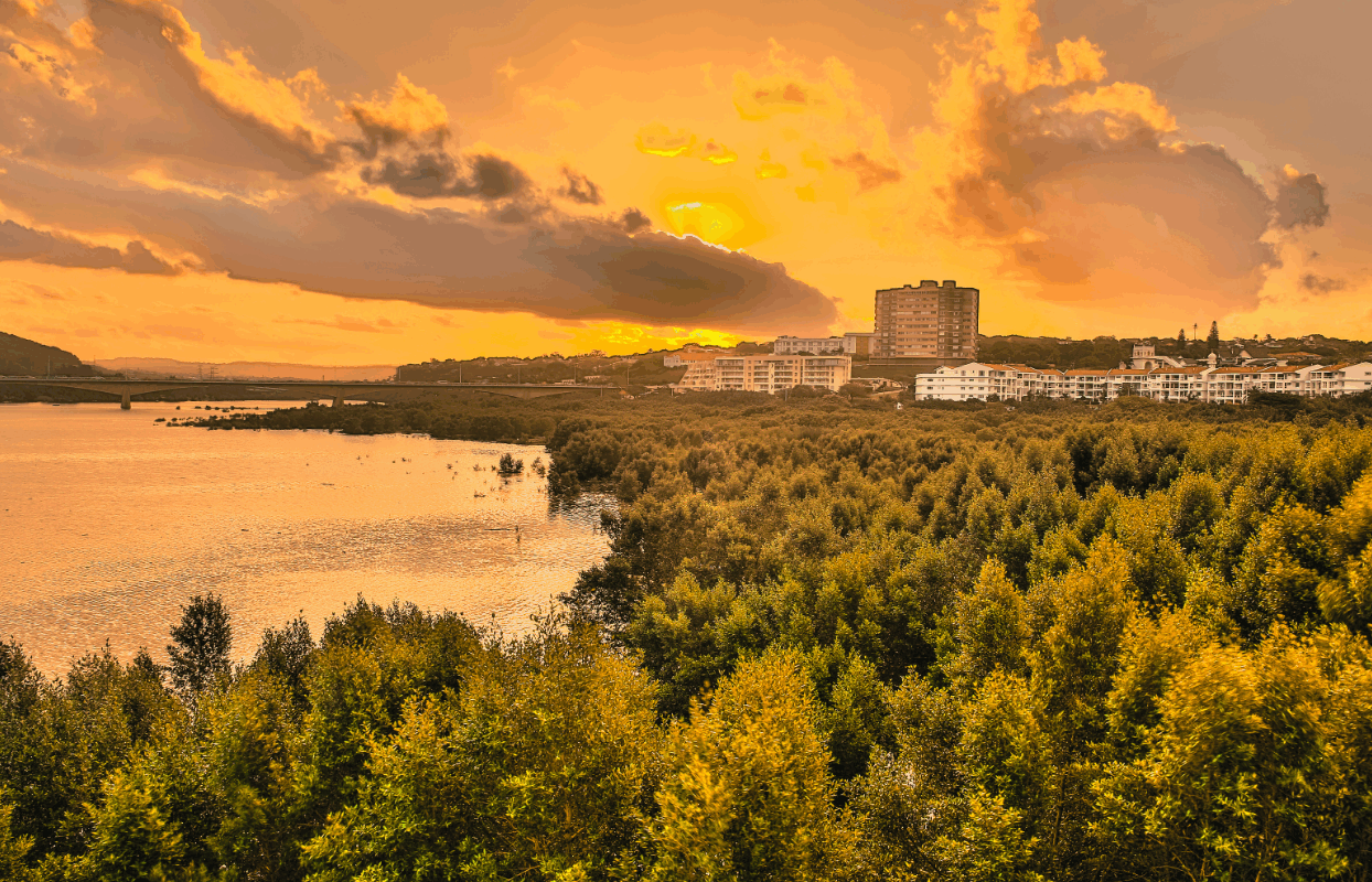 Durban Umgeni River