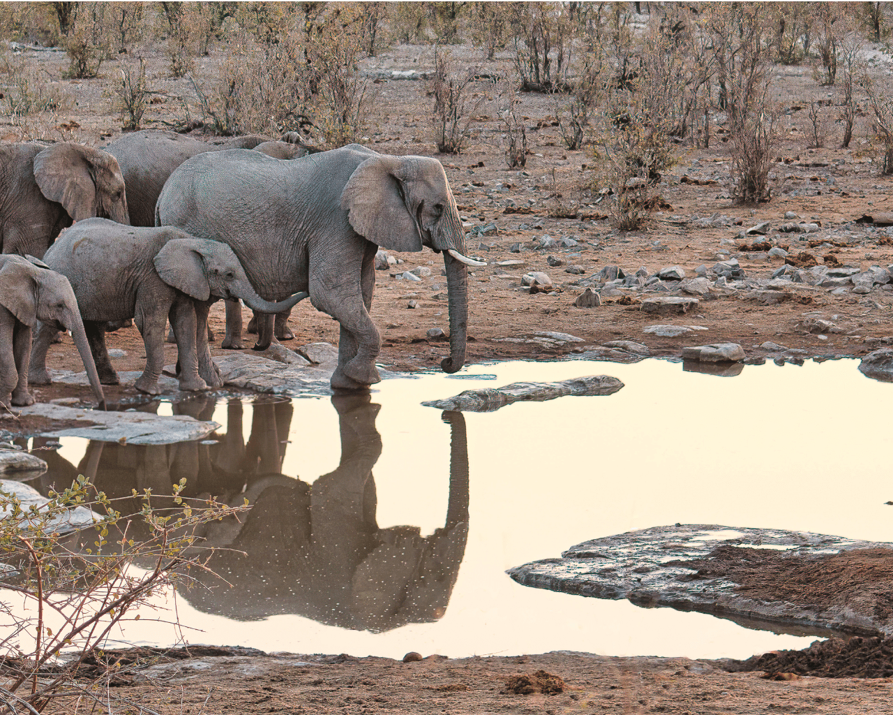 Namibia