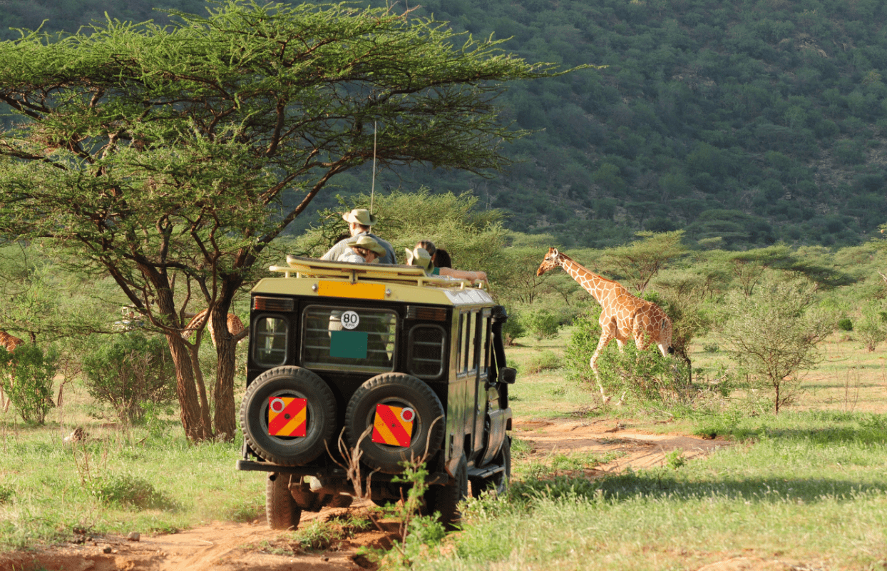 Safari in Kenya Sustainable Safaris Africa - Destinations - Kenya -
