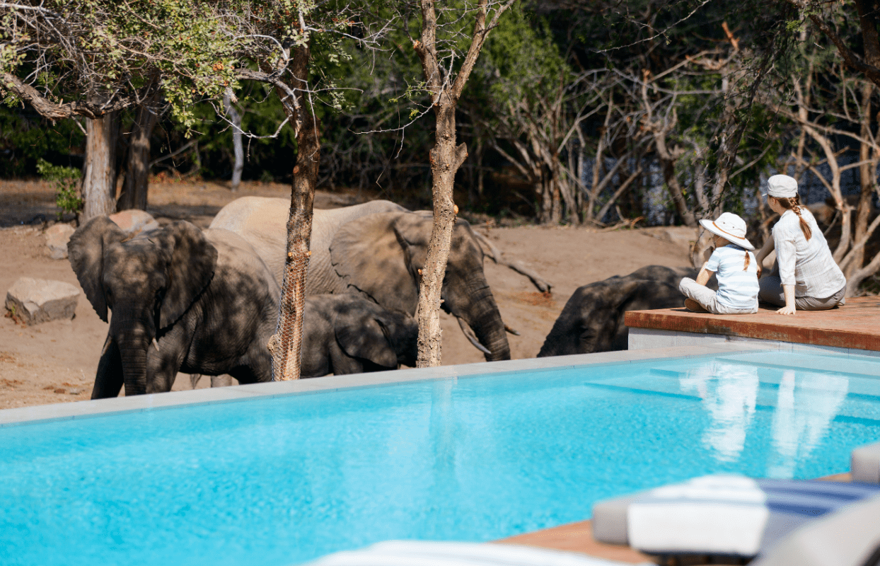 LECFS-IT1 - Family Safari Sitting Near Accommodation Swimming Pool Sustainable Safaris Africa - Journeys - Luxury Eastern Cape Family Safari - Experiences - Family Safari in Africa - Family Safari Sitting Near Accommodation Swimming Pool