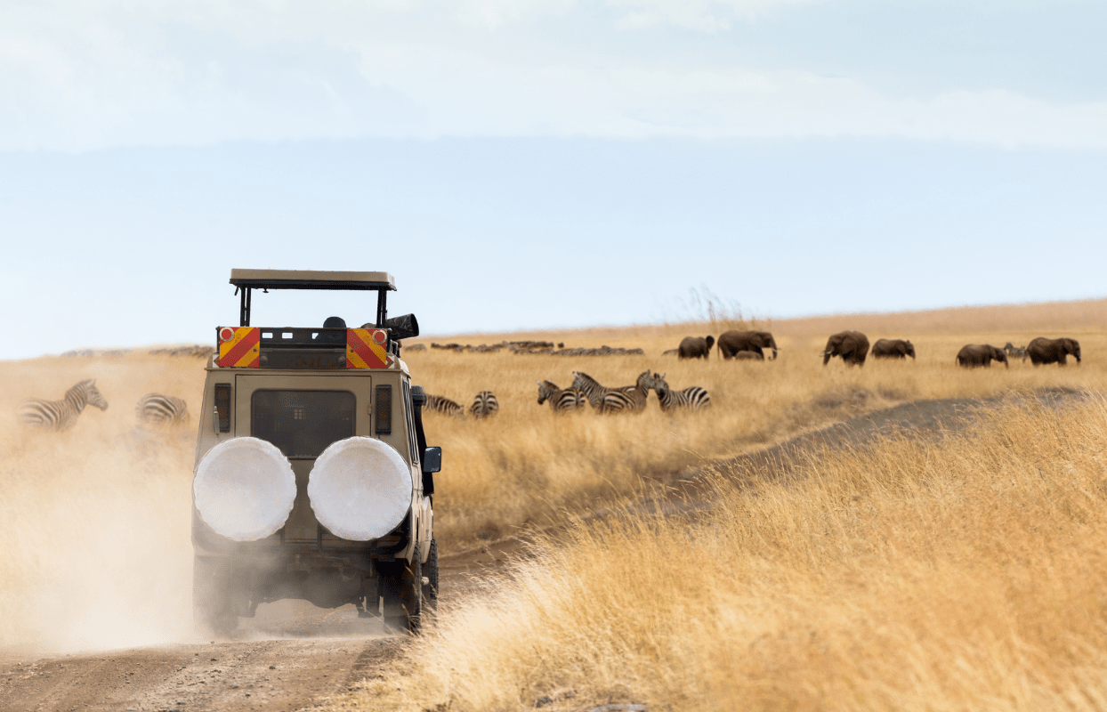 LECFS-IT3 - 4x4 Safari Car Driving on Dirt Road in the Bush Sustainable Safaris Africa - Journeys - Luxury Eastern Cape Family Safari - 4x4 Safari Car Driving on Dirt Road in the Bush