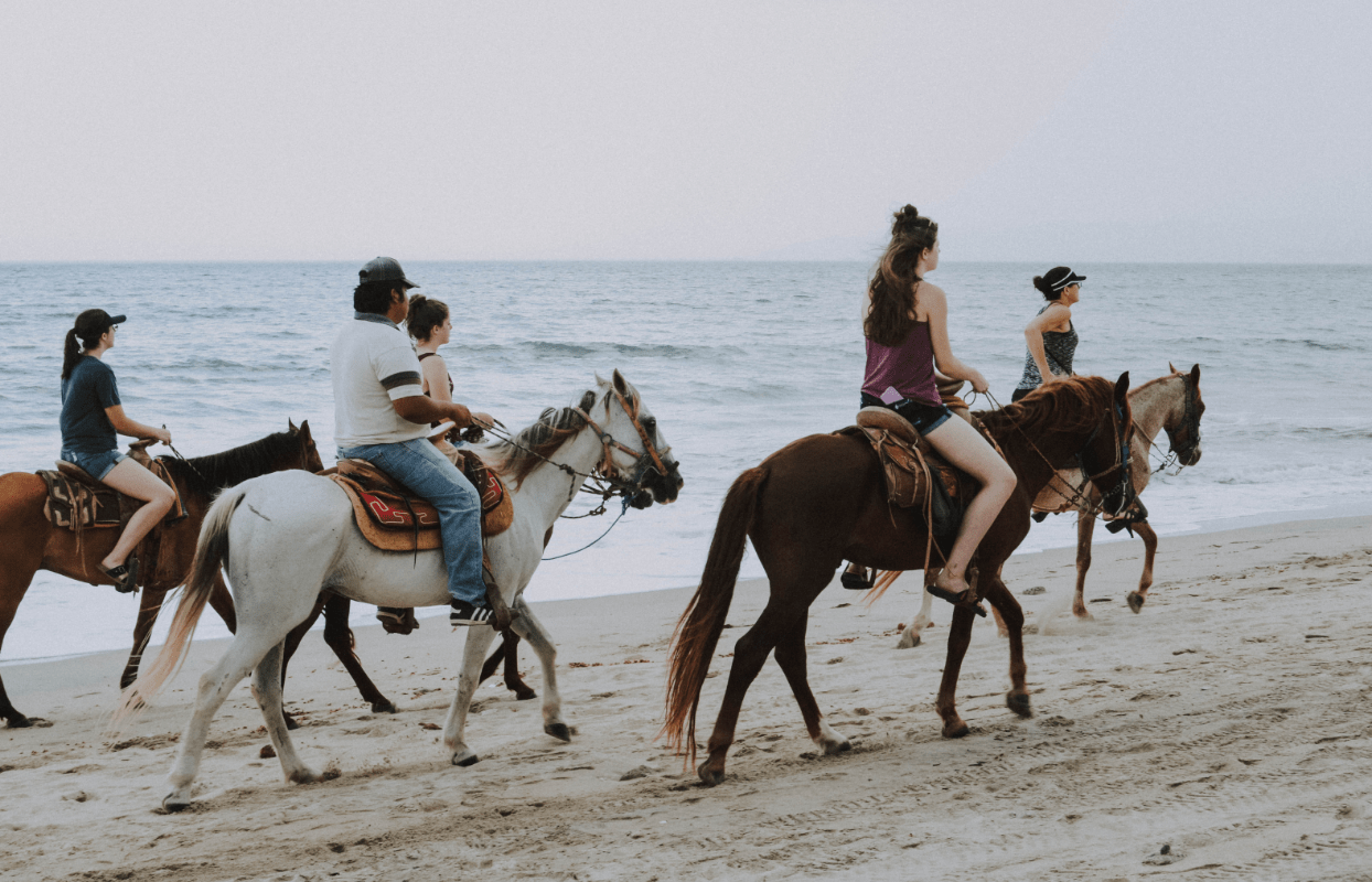 Sustainable Safaris Africa - Experiences - Horseback Safari Thumbnail - Beach Horseback Riding