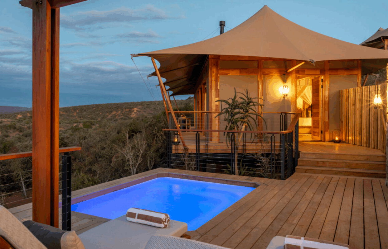 S008 - IT1 - Sindile Lodge Accommodation Swimming Pool Sustainable Safaris Africa - Journeys - Luxury Eastern Cape Couples Safari - Sindile Lodge Accommodation Swimming Pool