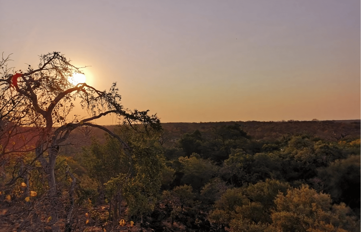S001-IT2 - Nthakeni Bush River Camp View Sustainable Safaris Africa - Journeys - Budget Kruger Safari - Nthakeni Bush River Camp View