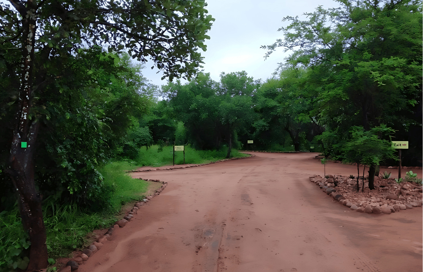 S001-IT2- Nthakeni Bush River Camp Sustainable Safaris Africa - Journeys - Budget Kruger Safari - Nthakeni Bush River Camp